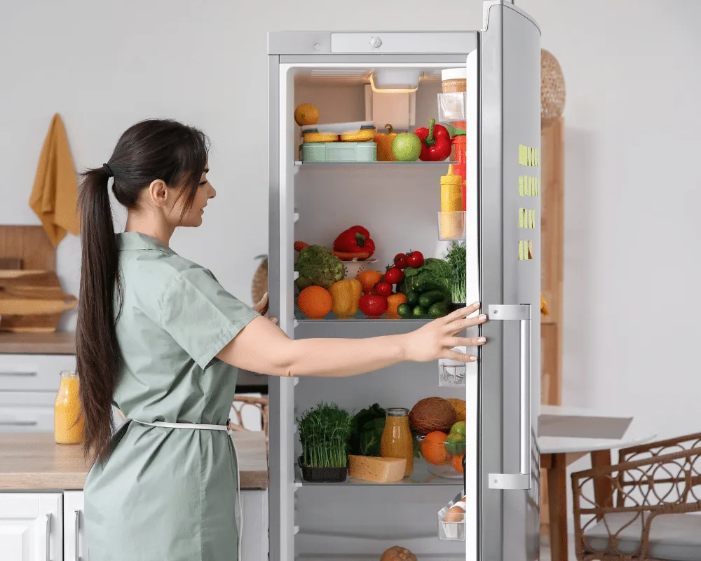 refrigerator repair in minneapolis