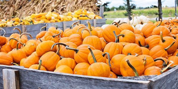 Best Halloween Minneapolis 2021 Events