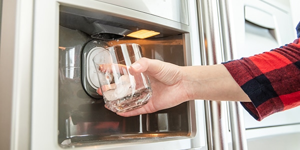 Are Refrigerator Water Filters Necessary?