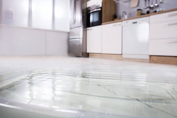 4 Reasons Your Thermador Dishwasher Leaking Through the Front Door