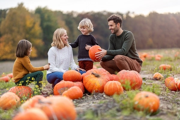 Minneapolis pumpkin patches